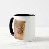 Spitz Tasse (Vorderseite Links)
