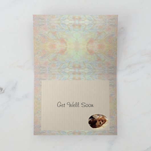 Spitz & Teddy bear Get Well Card Karte (Innenseite)