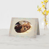 Spitz & Teddy bear Get Well Card Karte (Gelbe Blume)