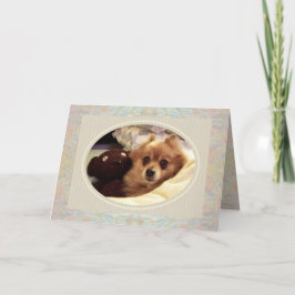 Spitz & Teddy bear Get Well Card Karte