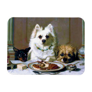 Spitz Terriers Abendessen Magnet