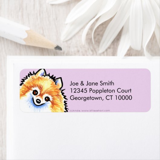 Spitz Thistle (Insitu)