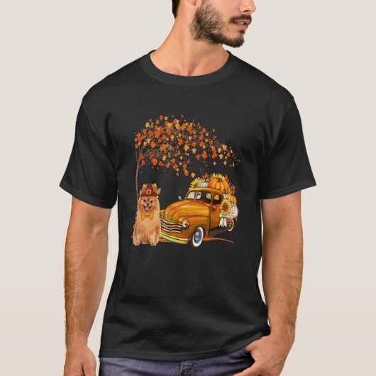 Spitz Tragehütte Lieferwagen LKW Pump Pump Pump T-Shirt (Vorderseite)