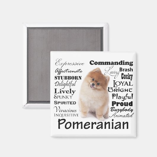 Spitz Traits Magnet (Vorderseite/Rückseite)