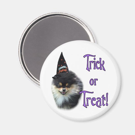 Spitz Trick Magnet (Vorderseite/Rückseite)