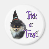 Spitz Trick Magnet (Vorne)