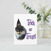 Spitz Trick Postkarte (Stehend Vorderseite)