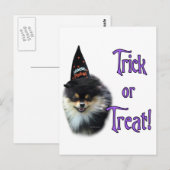 Spitz Trick Postkarte (Vorne/Hinten)