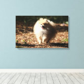 Spitz Trotting in den gefallenen Blätter Leinwanddruck (Insitu (Holzboden))