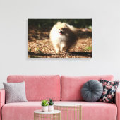 Spitz Trotting in den gefallenen Blätter Leinwanddruck (Insitu (Wohnzimmer))