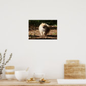 Spitz Trotting in den gefallenen Blätter Poster (Küche)