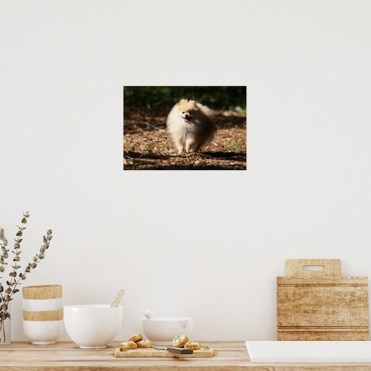 Spitz Trotting in den gefallenen Blätter Poster (Küche)