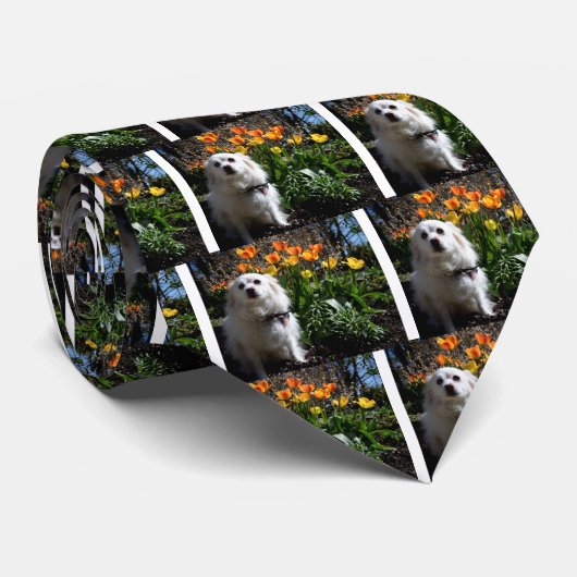 Spitz Tulips Krawatte (Gerollt)