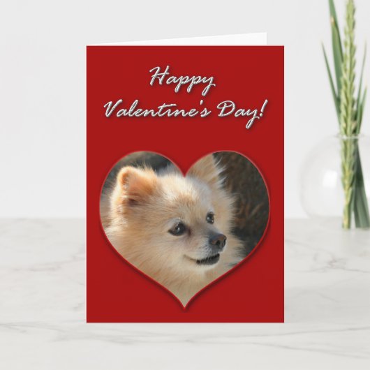 Spitz-Valentinstag-Karte Feiertagskarte (Vorderseite)