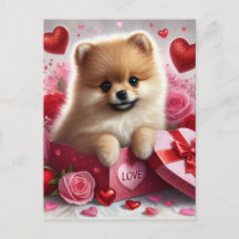Spitz Valentinstag Urlaub Postkarte