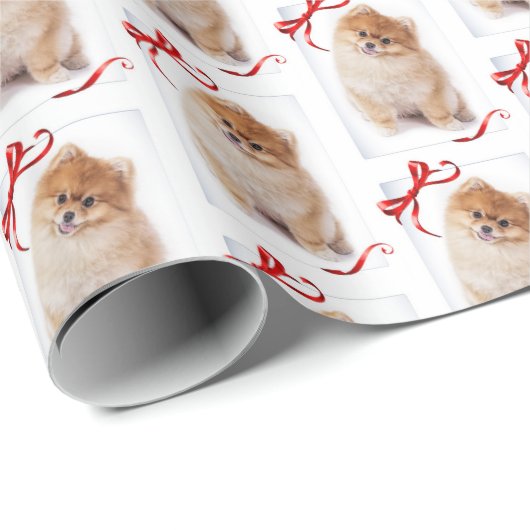 Spitz-Verpackungs-Papier Geschenkpapier (Rolleneckpunkt)