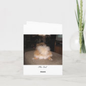 Spitz Vielen Dank, dass Sie sich eine Karte ausgeb (Rückseite)