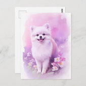 Spitz Wasserfarbenportrait 1 Postkarte (Vorne/Hinten)