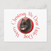 Spitz Weihnachten (Vorderseite)