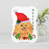 Spitz Weihnachten (Stehend Vorderseite)