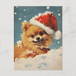 Spitz Weihnachten Postkarte
