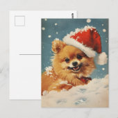 Spitz Weihnachten Postkarte (Vorne/Hinten)