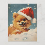 Spitz Weihnachten Postkarte (Vorderseite)