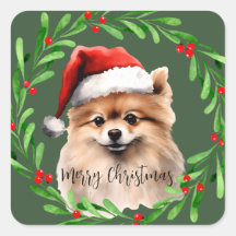Spitz Weihnachten Wasserfarbenbotschaften