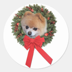 Spitz Weihnachtsaufkleber Runder Aufkleber