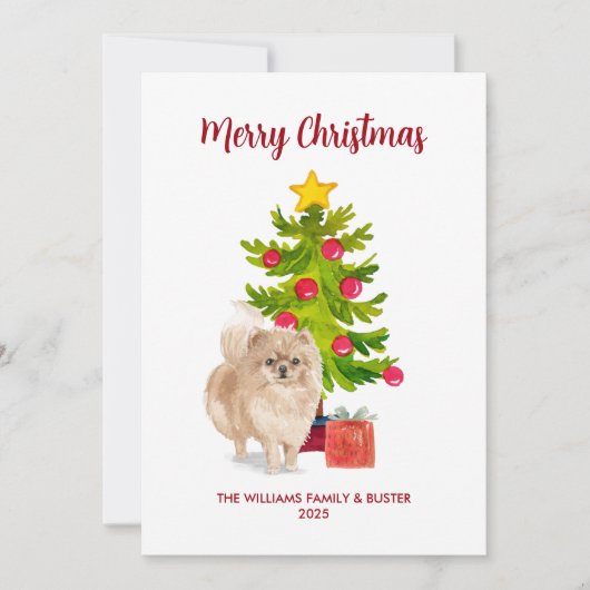 Spitz Weihnachtskarte Feiertagskarte (Vorderseite)