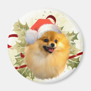 Spitz-Weihnachtsmagnet Magnet