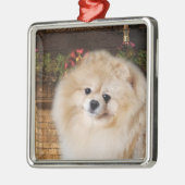 Spitz Weihnachtsschmuck (Links)