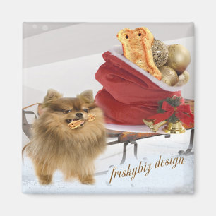 Spitz-Weihnachtsschneemagnet Magnet