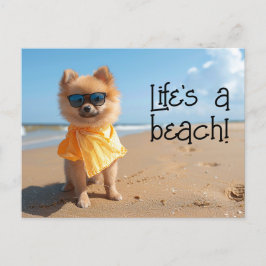 Spitz Welpe, die eine Sonnenbrille trägt, Postkart Postkarte