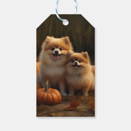 Spitz Welpe Herbst Kürbis Geschenkanhänger (Vorderseite)