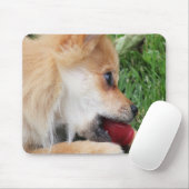 Spitz Welpe mit Ball Mousepad (Mit Mouse)