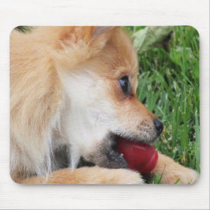 Spitz Welpe mit Ball Mousepad