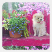 Spitz Welpe Rustic Bench Hütte Gartenanlage Quadratischer Aufkleber (Vorderseite)