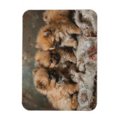 Spitz Welpe Trio Vintag flexibel Magnet (Vertikal)