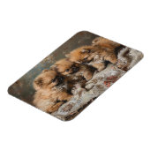 Spitz Welpe Trio Vintag flexibel Magnet (Linke Seite)