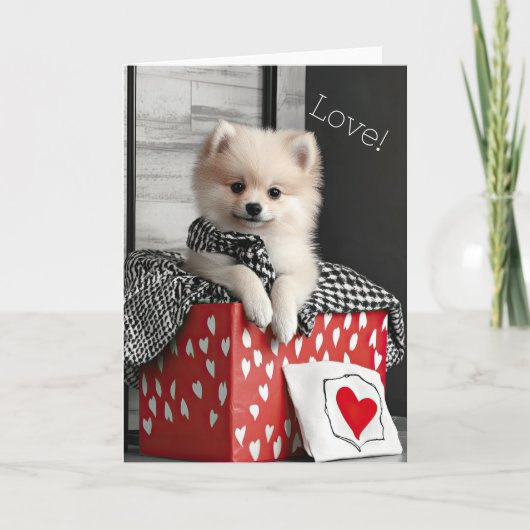 Spitz Welpe Valentine Card Dankeskarte (Vorderseite)