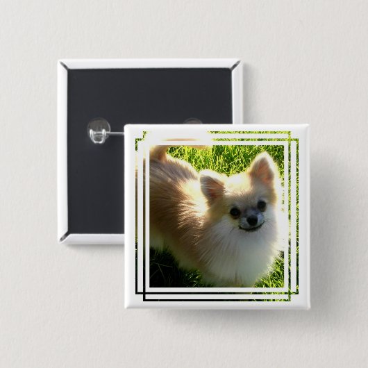 Spitz-Welpen-Button Button (Vorne & Hinten)