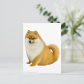 Spitz-Welpenkarte Postkarte (Stehend Vorderseite)