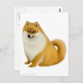 Spitz-Welpenkarte Postkarte (Vorne/Hinten)