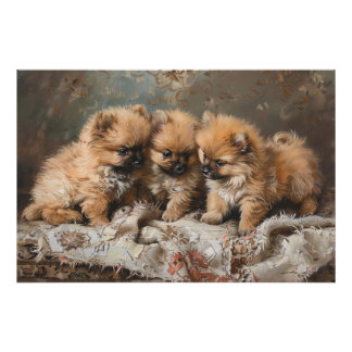 Spitz Welppy Trio Vintag Fotodruck