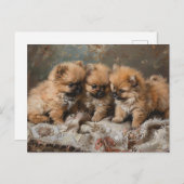 Spitz Welppy Trio Vintag Postkarte (Vorne/Hinten)