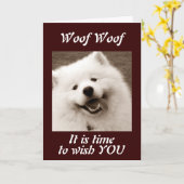 SPITZ WÜNSCHT IHNEN EIN "SEHR FREUNDLICHES CHRISTM KARTE (Gelbe Blume)