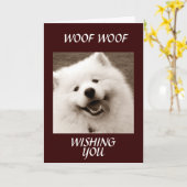 SPITZ WÜNSCHT IHNEN EINE "SPEEDY-ERHOLUNG" KARTE (Gelbe Blume)