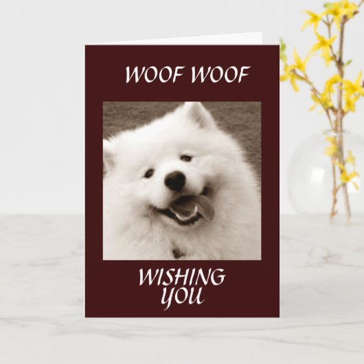 SPITZ WÜNSCHT SIE *GLÜCKWÜNSCHE AUF IHREM ABSCHLUS KARTE (Gelbe Blume)