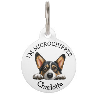 Spitzbübischer schwarzer Corgi-Welpe Personalisier Haustiermarke